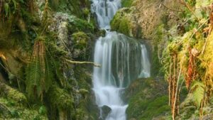 Hackfall Woods Waterfalls Days out things to do top attractions places to visit in Yorkshire